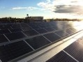 Solar panels inspire consumer interaction