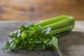 Celery & fennel ride “root to stem” trend