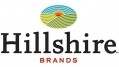 Hillshire Brands appoints David Stahl as chief information officer