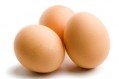 MGP’s Arise wheat protein isolates do more than replace eggs