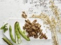 Gold & Green: ‘We want oats to be the #1 ingredient in plant-based meat’
