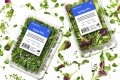 Square Roots debuts Spring Mix and Super Mix salads