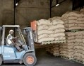 A port worker loading sacks of cocoa beans at Cote d’Ivoire’s main port. Pic: Bollore logistics