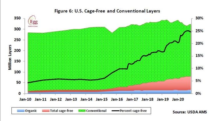 cage free hens usda data from Egg Innovations