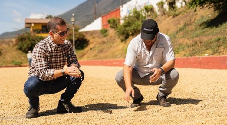 Enveritas inspecting drying green coffee on a farm in Guatemala-Peets