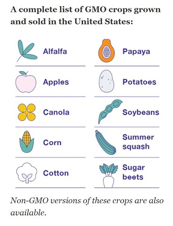 FDA_GMOs