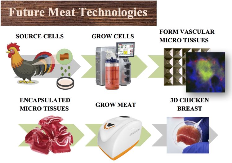 future meat tech