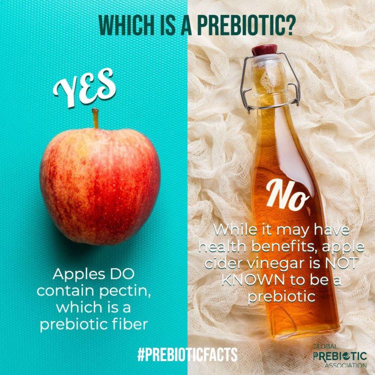 prebiotic apple cide vinegar vs apple