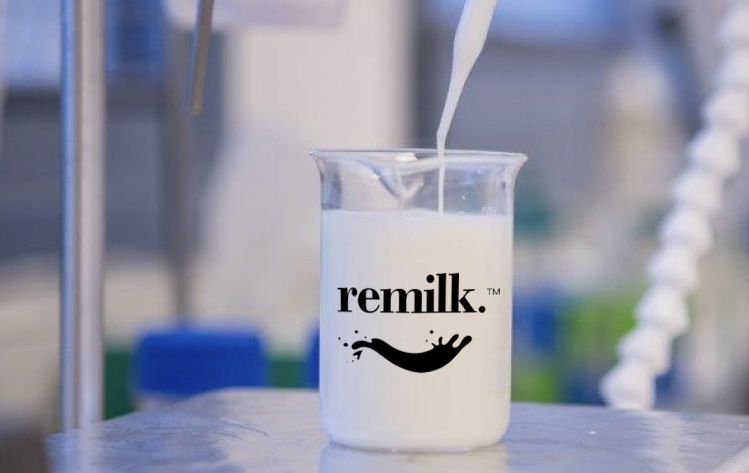 Remilk_animal-free-dairy-milk