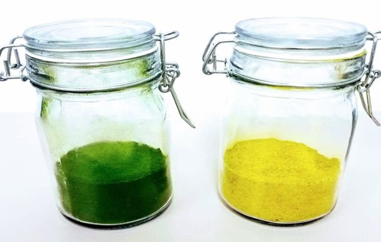 Triton yellow+green+algae