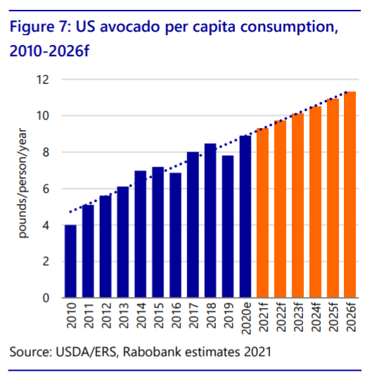 US Avocado Consumption _ Rabobank