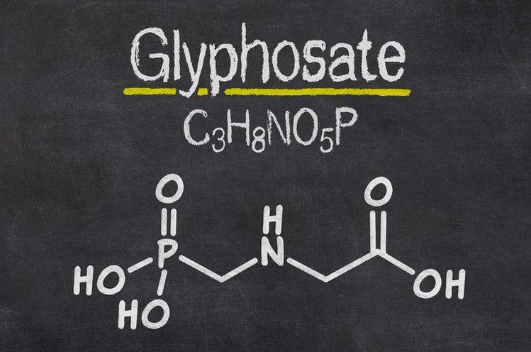 New report alleges 'mass contamination' of foods from use of glyphosate to  dry crops