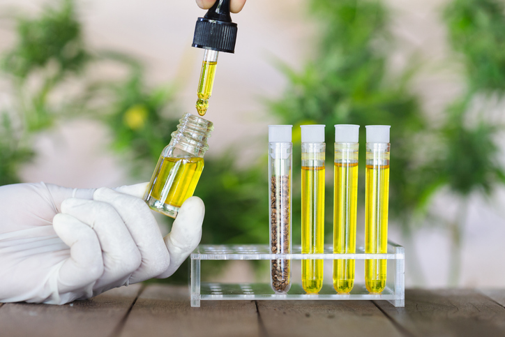 4 of the Best CBG Oil Brands to Buy in 2019 - Industrial Hemp Farms